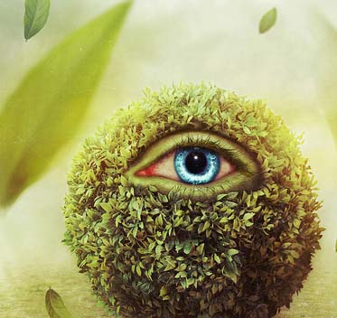 破茧成蝶进化的呼叫软件天天呼