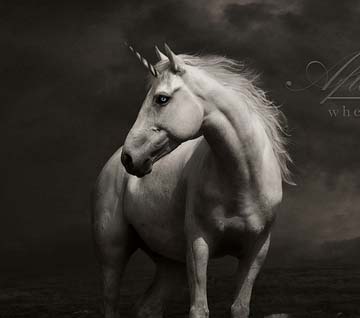 不间断呼叫软件