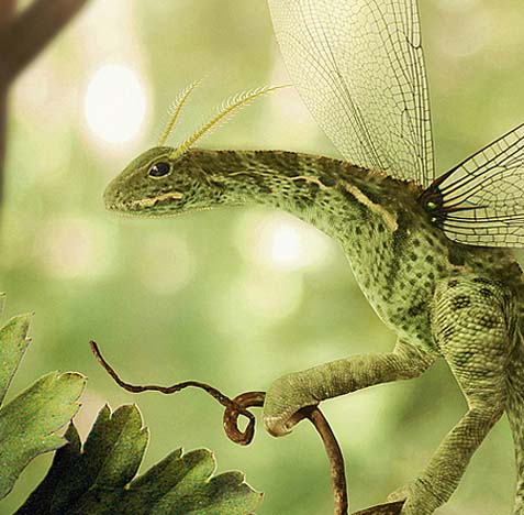 短信轰机轰炸app下载安卓手机