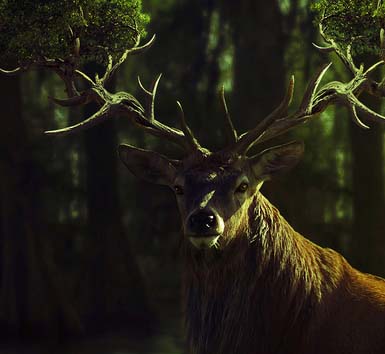 不间断呼叫软件